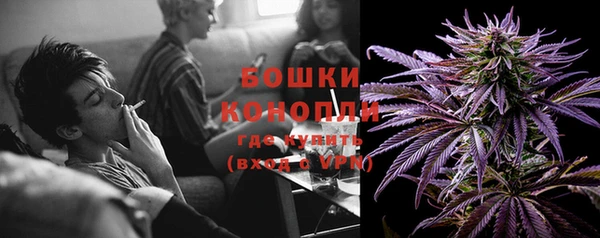 ПСИЛОЦИБИНОВЫЕ ГРИБЫ Дмитров
